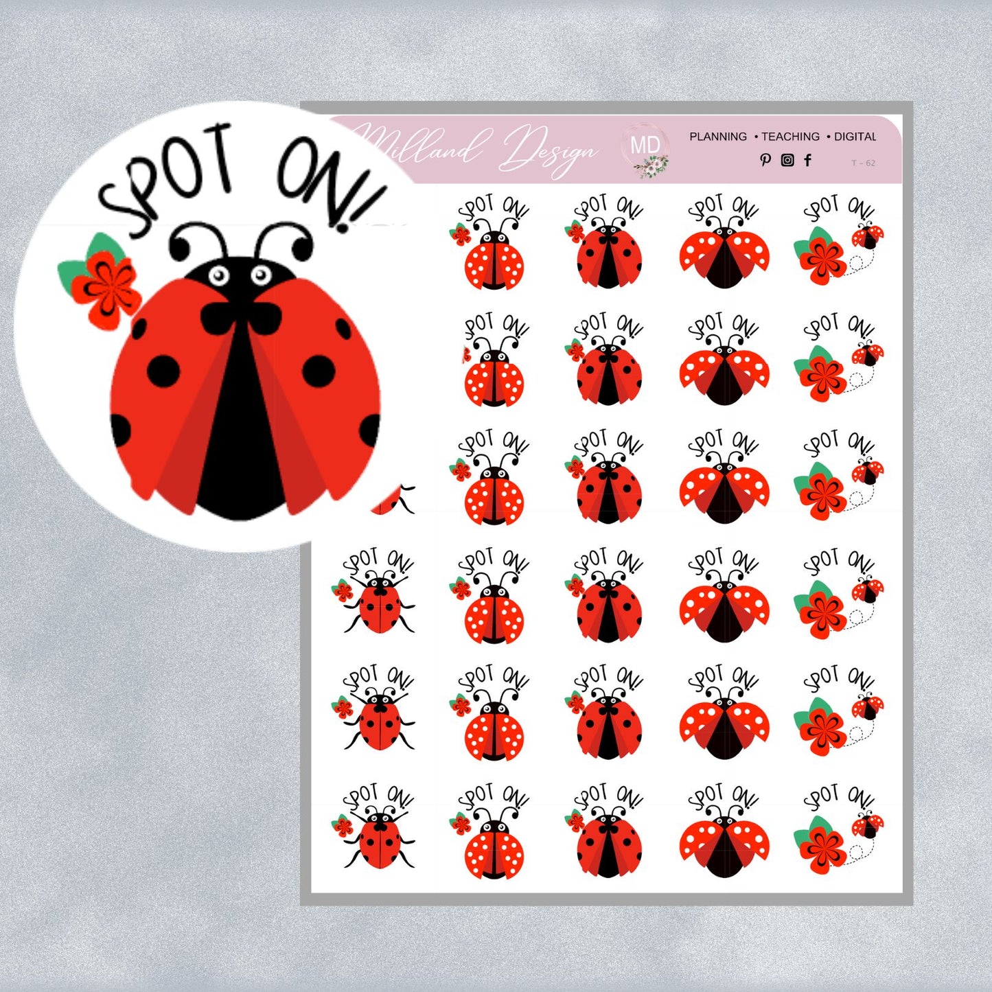 Ladybug General Merit Stickers