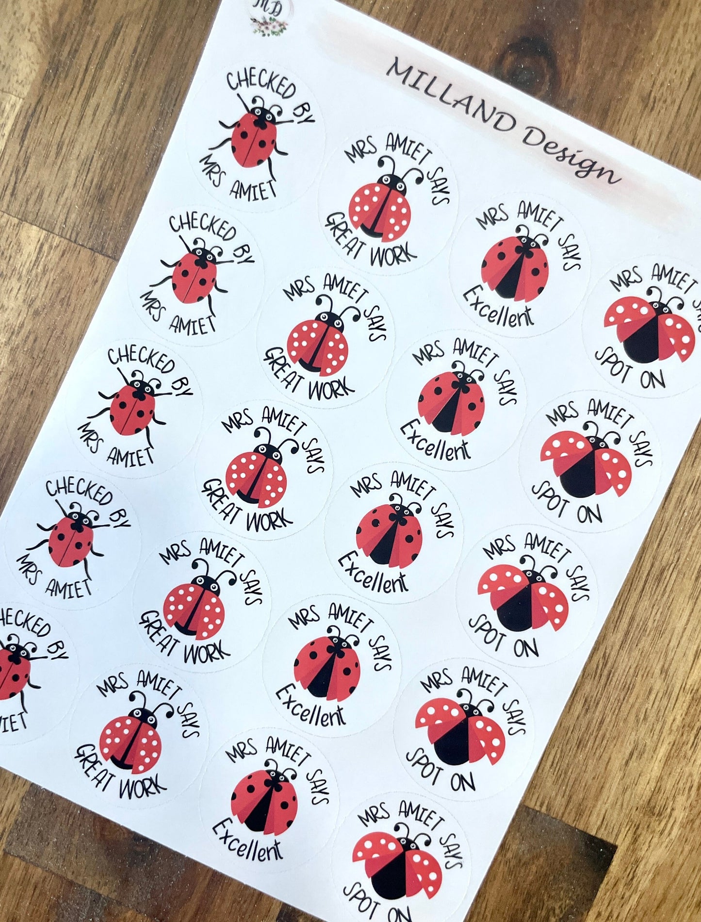 Ladybug Custom Personalised Teaching Stickers